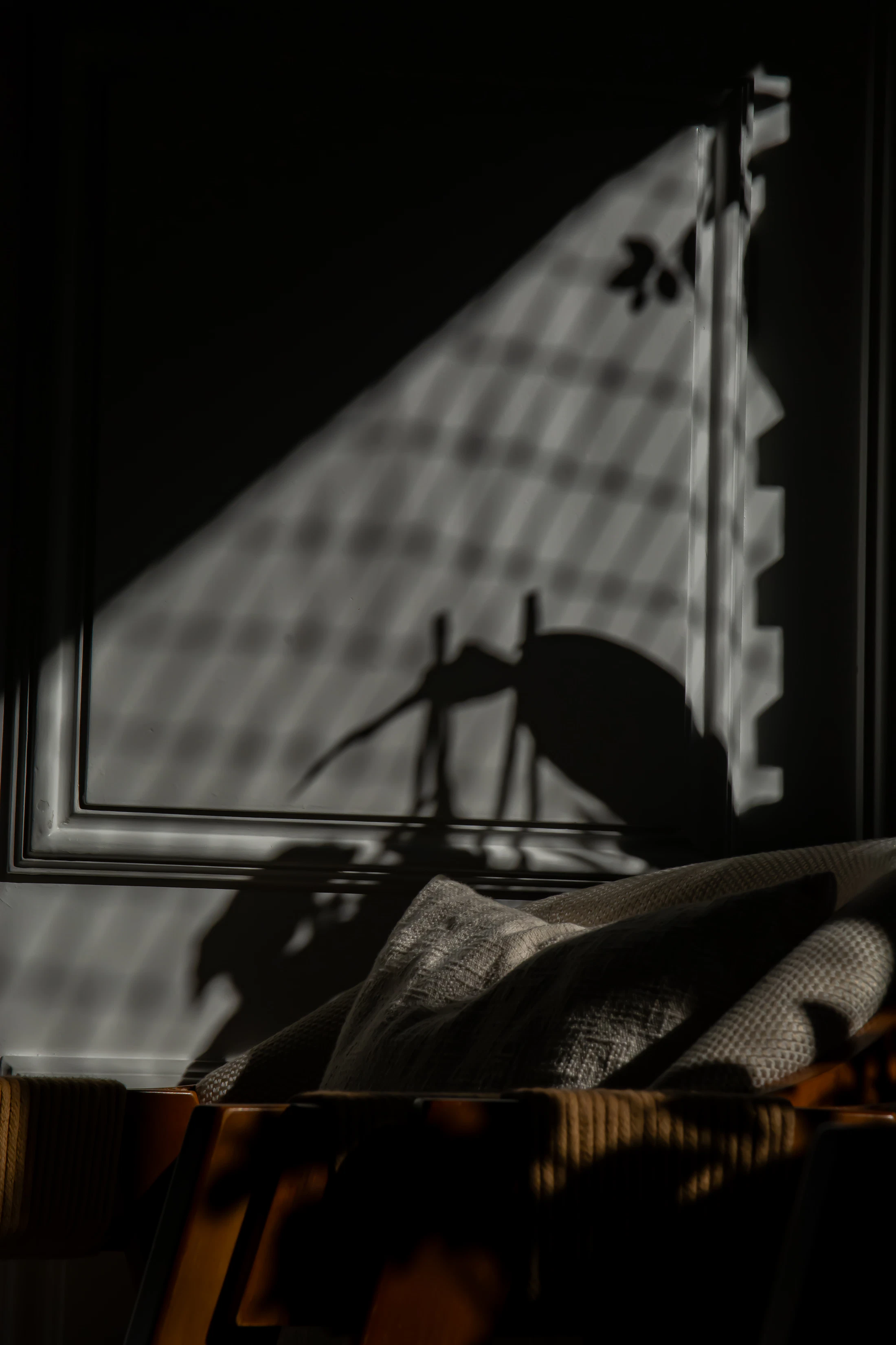 Window light and the shadow of a plant falling across a dark panelled wall.